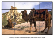 Puzzle-Kamel-1.pdf